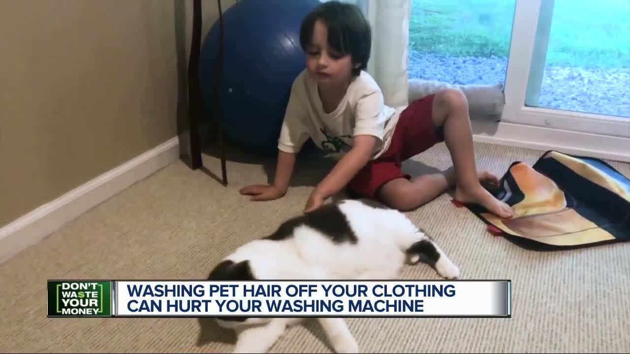 Washing pet hair off your clothes could hurt your washing machine