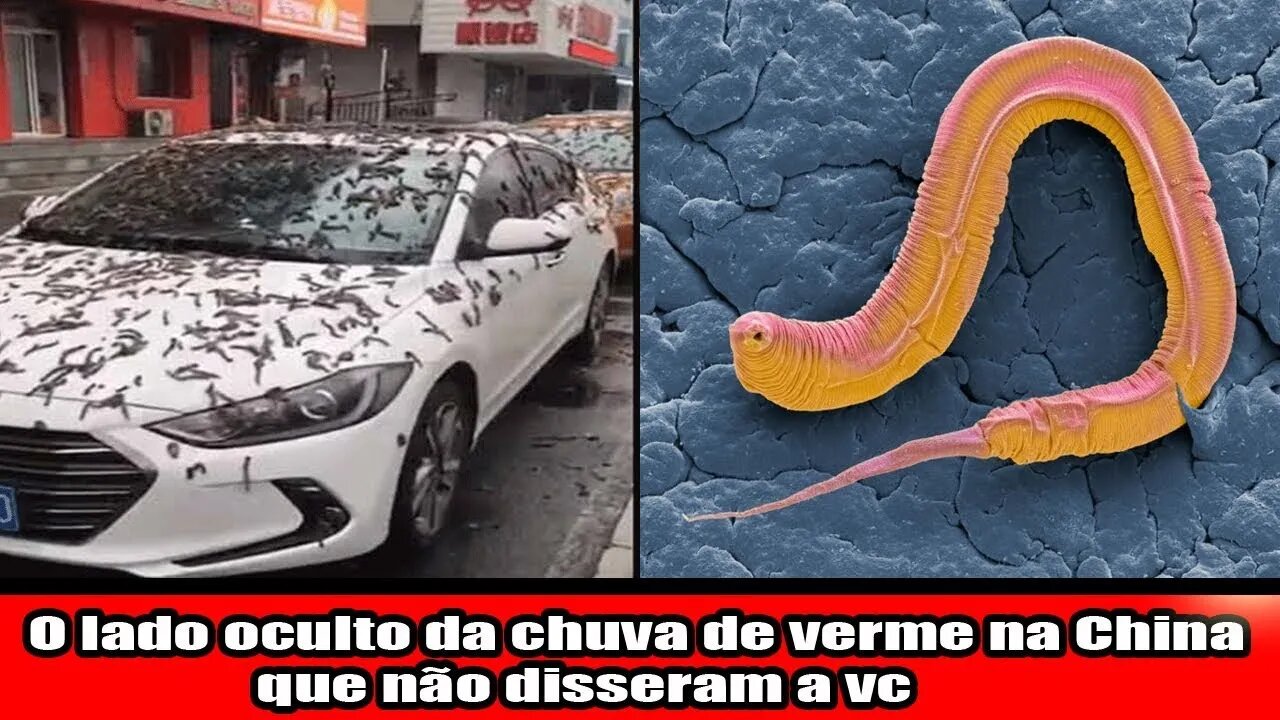 O lado oculto da chuva de verme na China que não disseram a você!