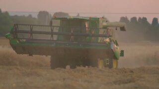 John Deere T560i combining.