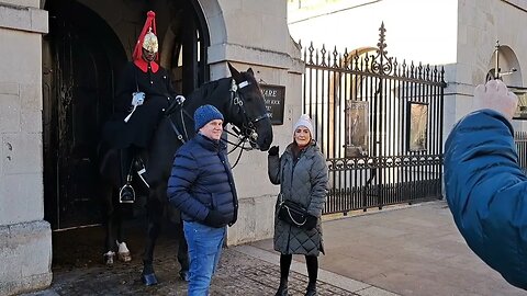The Horse wants to eat your fingers #horseguardsparade