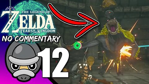 Part 12 // [No Commentary] Zelda: Tears of the Kingdom - Switch Gameplay