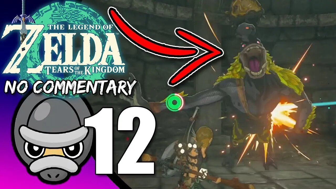 Part 12 // [No Commentary] Zelda: Tears of the Kingdom - Switch Gameplay