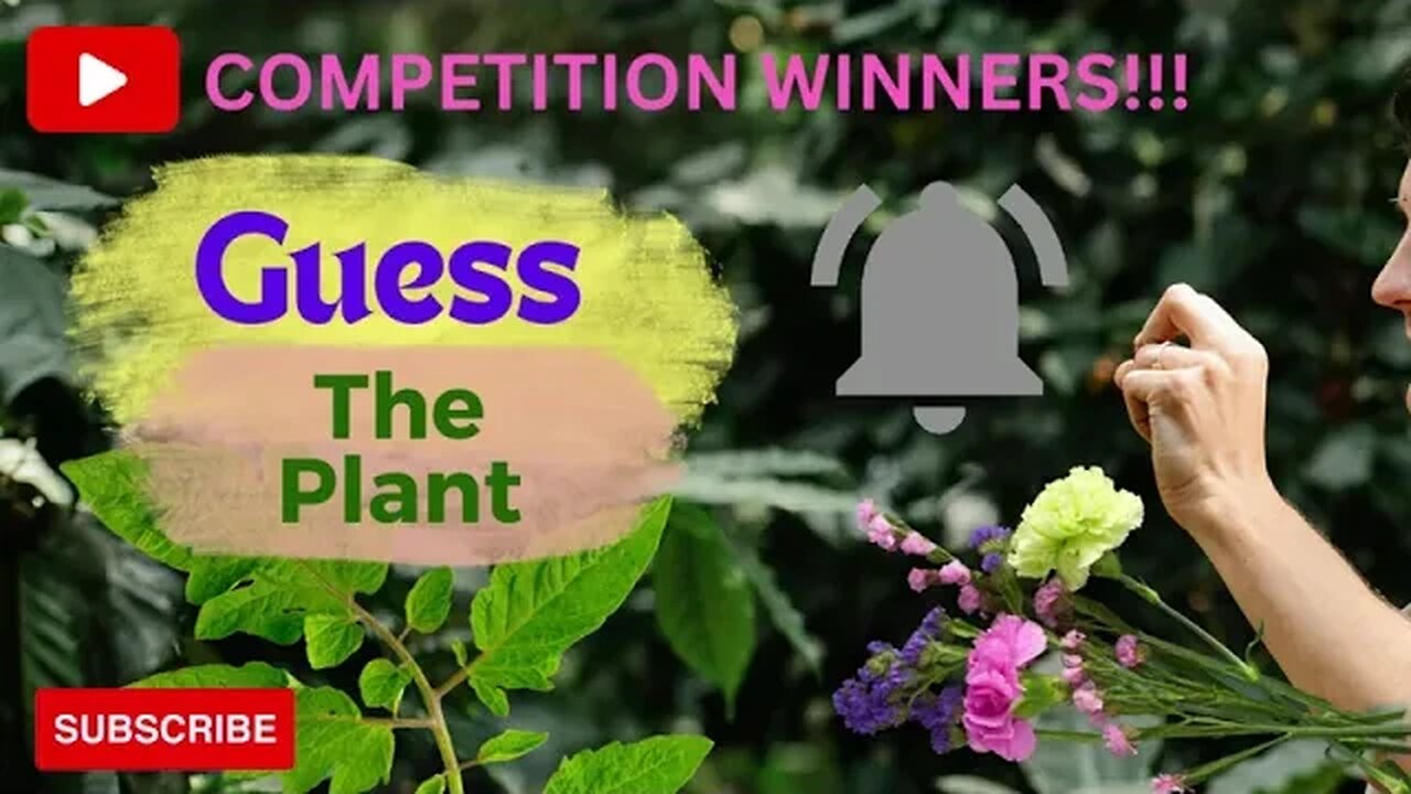 Guess The Plant - Competition Winners