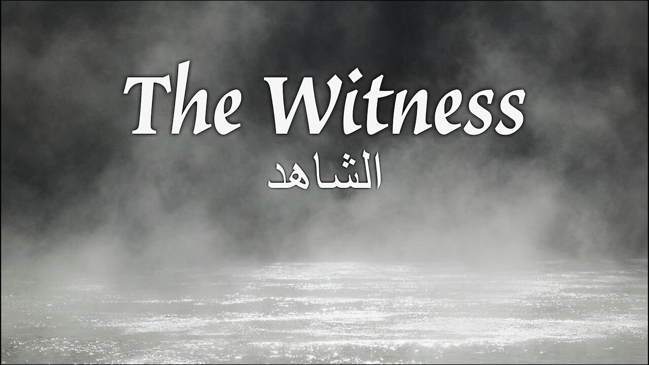 The Witness