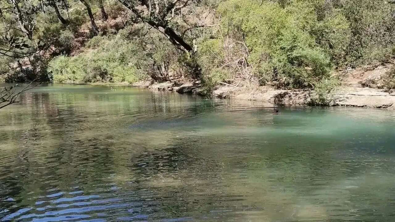 Κωνσταντίνος Γαλανός - Να σ' αγαπάει να του πεις
