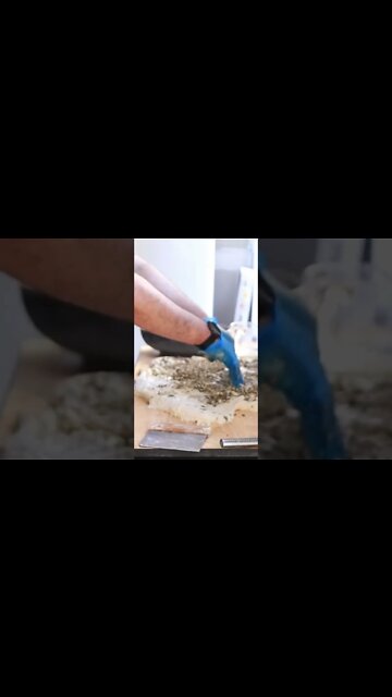 SOAK YOUR SEEDS FOR A BETTER MULTIGRAIN #sourdough