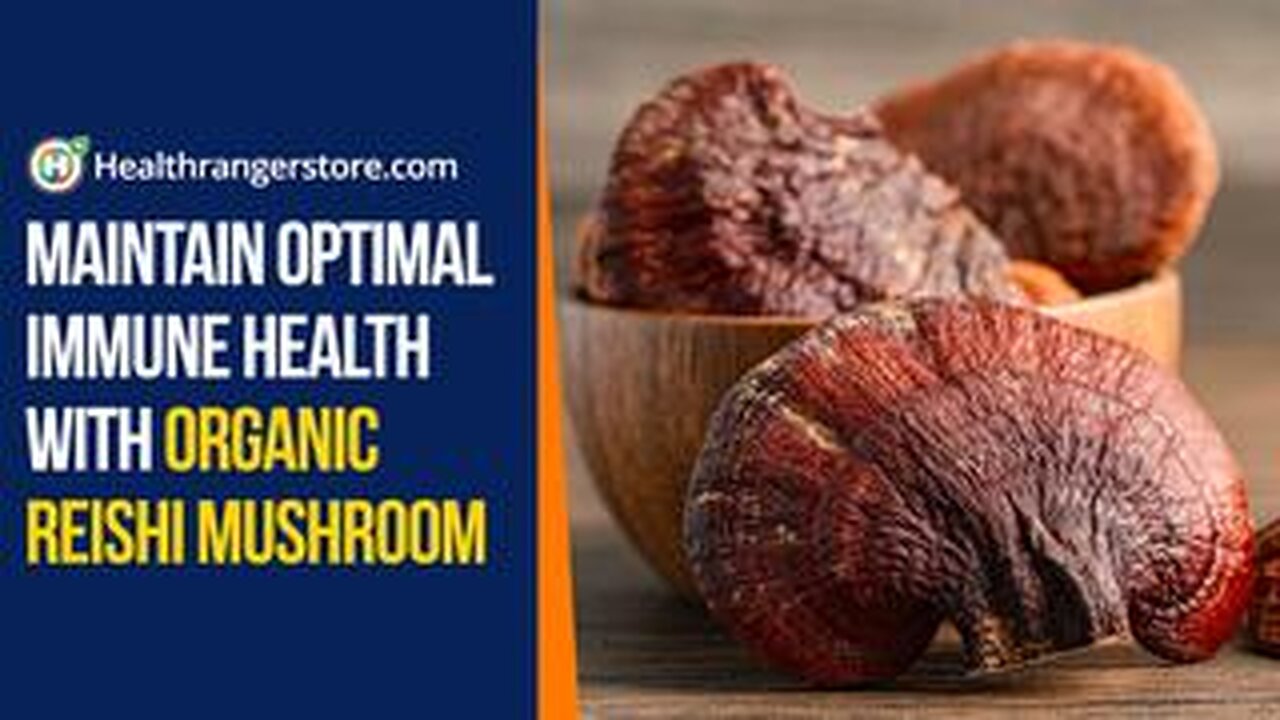 Maintain optimal immune health with Organic Reishi Mushroom