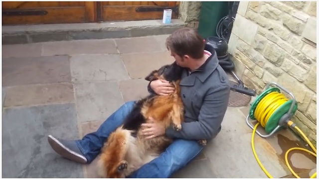 Dog Cries Out In Happiness After Months Apart From Owner