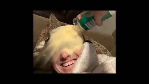 UNUSUAL MEMES COMPILATION #62