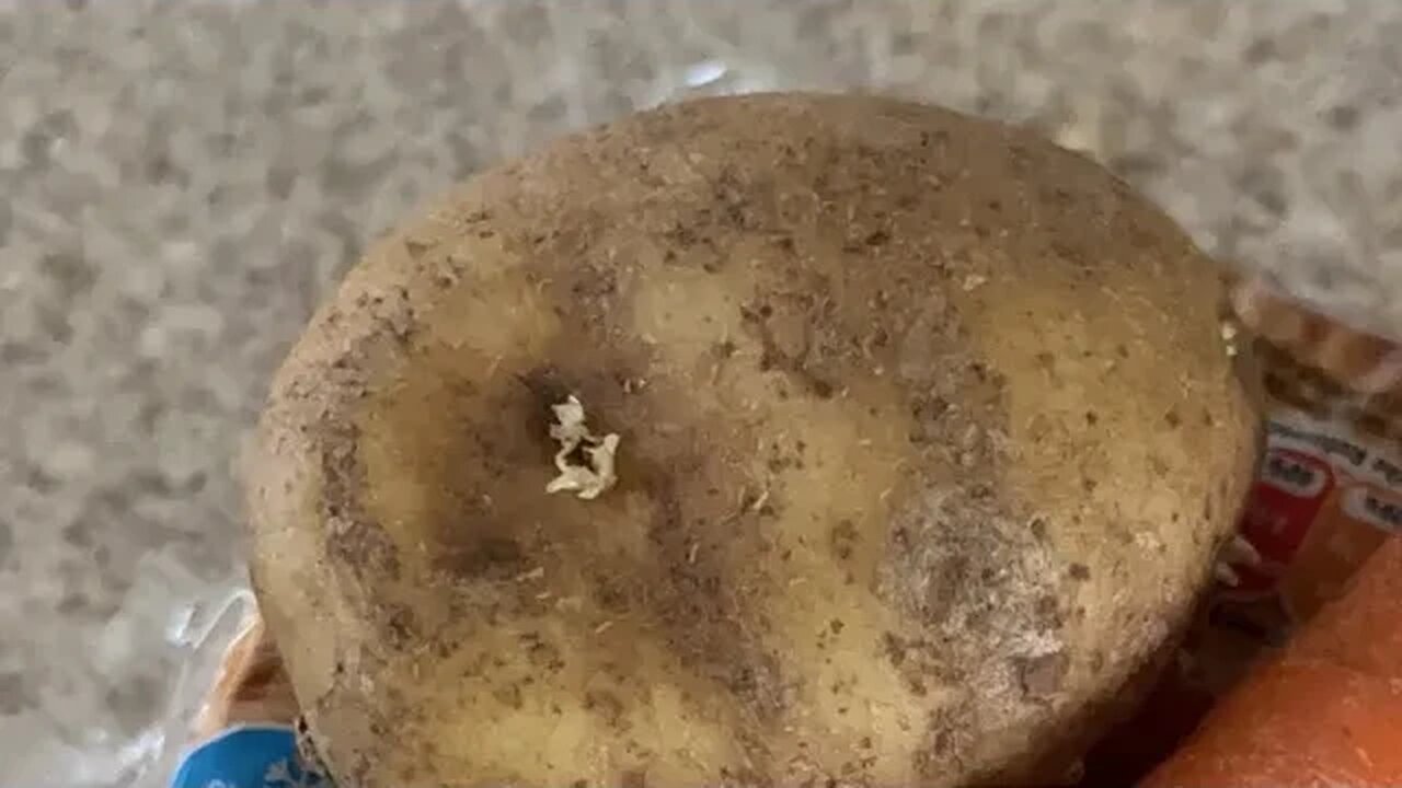 Pie and roast potatoes 🥔 with a carrot 🥕 and meat 🍖 gravy for dinner tomorrow enjoy 😉