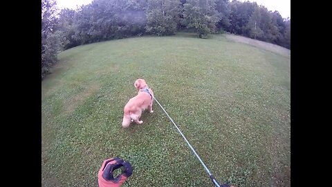 July 2nd, 67º just finished raining. Flynn and I stay off the road