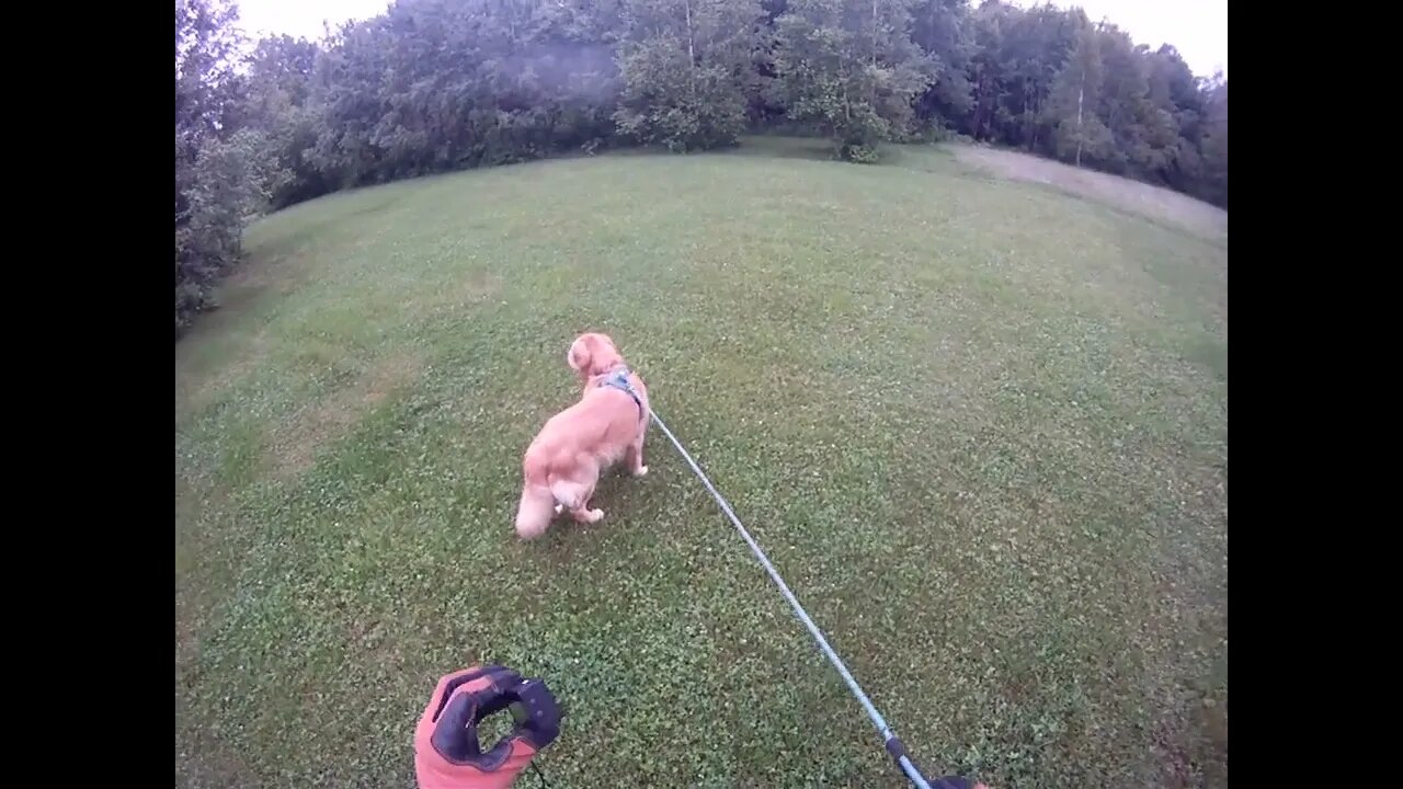 July 2nd, 67º just finished raining. Flynn and I stay off the road