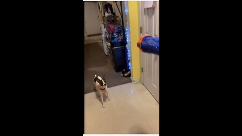 Princess and the nerf gun