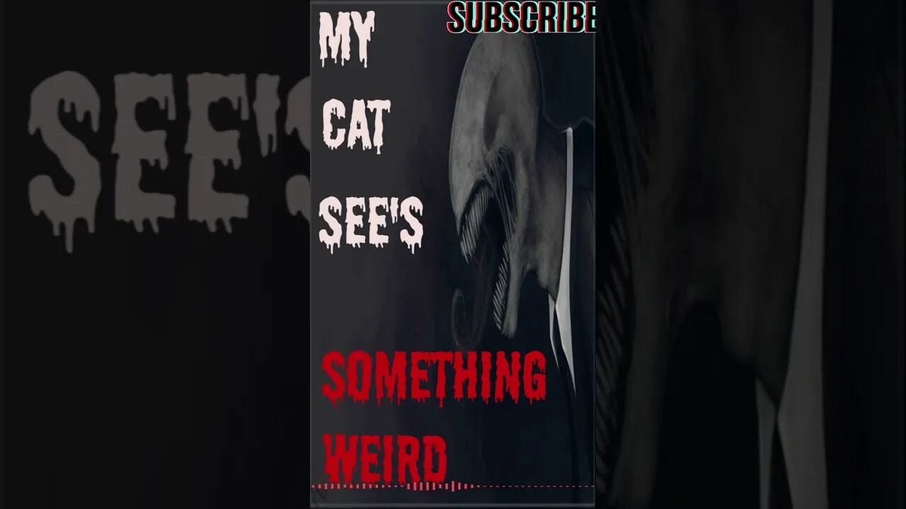 "CreepyPastas" My Cat See's Something, Short Stories From The Compendium.