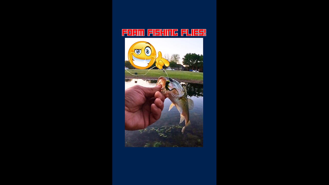 Foam Fishing Flies Worked On Bass!
