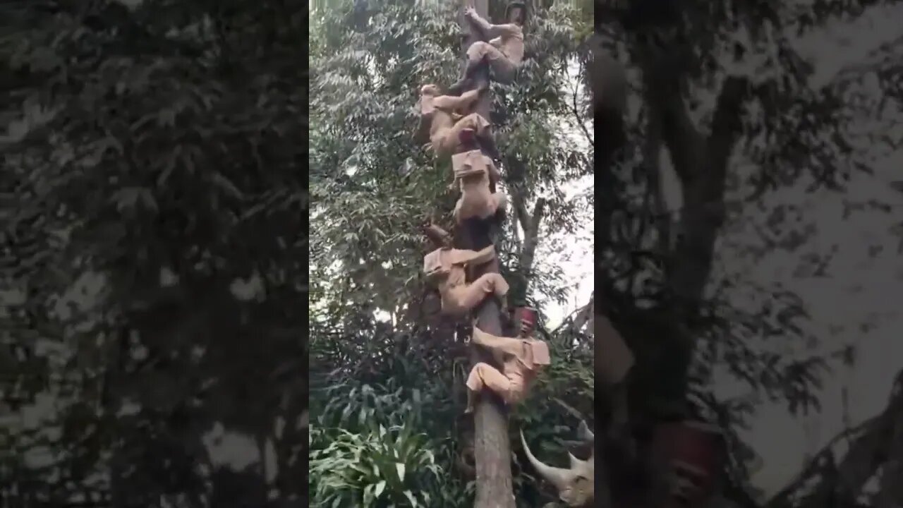 Se ta ruim pra vc, imagina pro último... 🤣