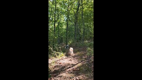 Hiking with the kids