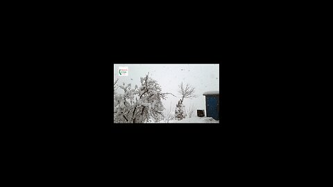 पंछी सुर में गाते है ।।