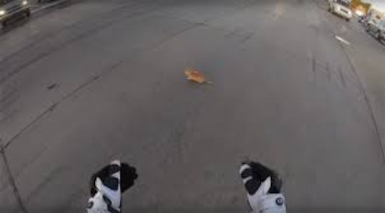 IF IT WERE NOT FILMED NO ONE WOULD BELIEVE