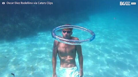 Jellyfish has great fun swimming and spinning in bubble of air