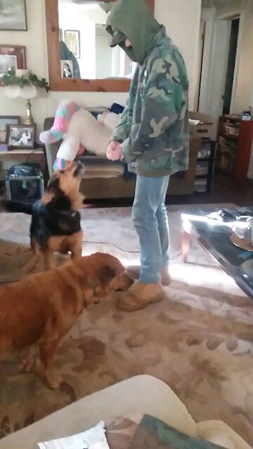 Watson and the invisible balloon