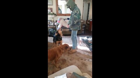 Watson and the invisible balloon