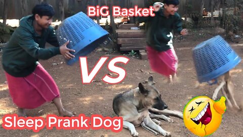 Funny Dog Prank