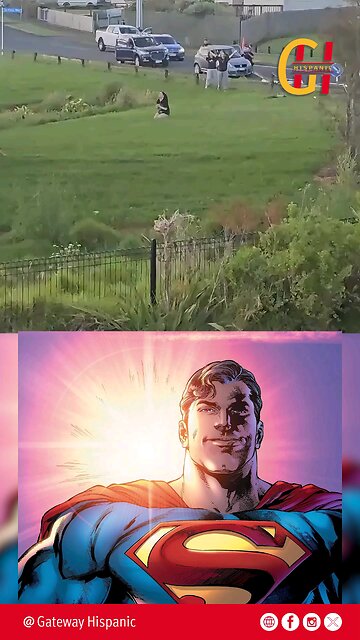 Así es como un Hombre de Shorts, evitó una balacera - Sucedió en Australia