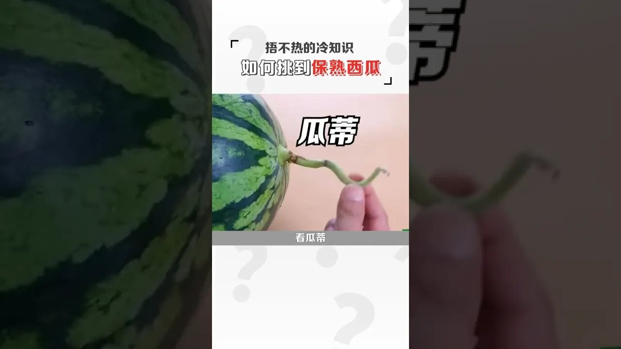 瓜那么多,如何挑到保熟的瓜呢?#吃瓜#天橋下說書貓 #shorts