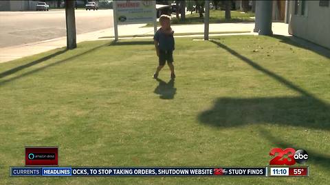 Great Strides Walk