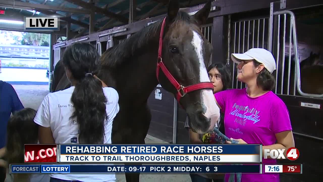 Track to Trail Thoroughbreds rescues and rehabilitates race horses - 7am live report