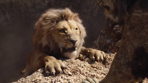 El Rey Leon 2019 | Larga Vida Al Rey | Soundtrack 1994"