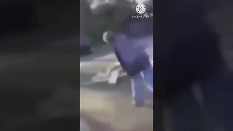 Meme Capoeira