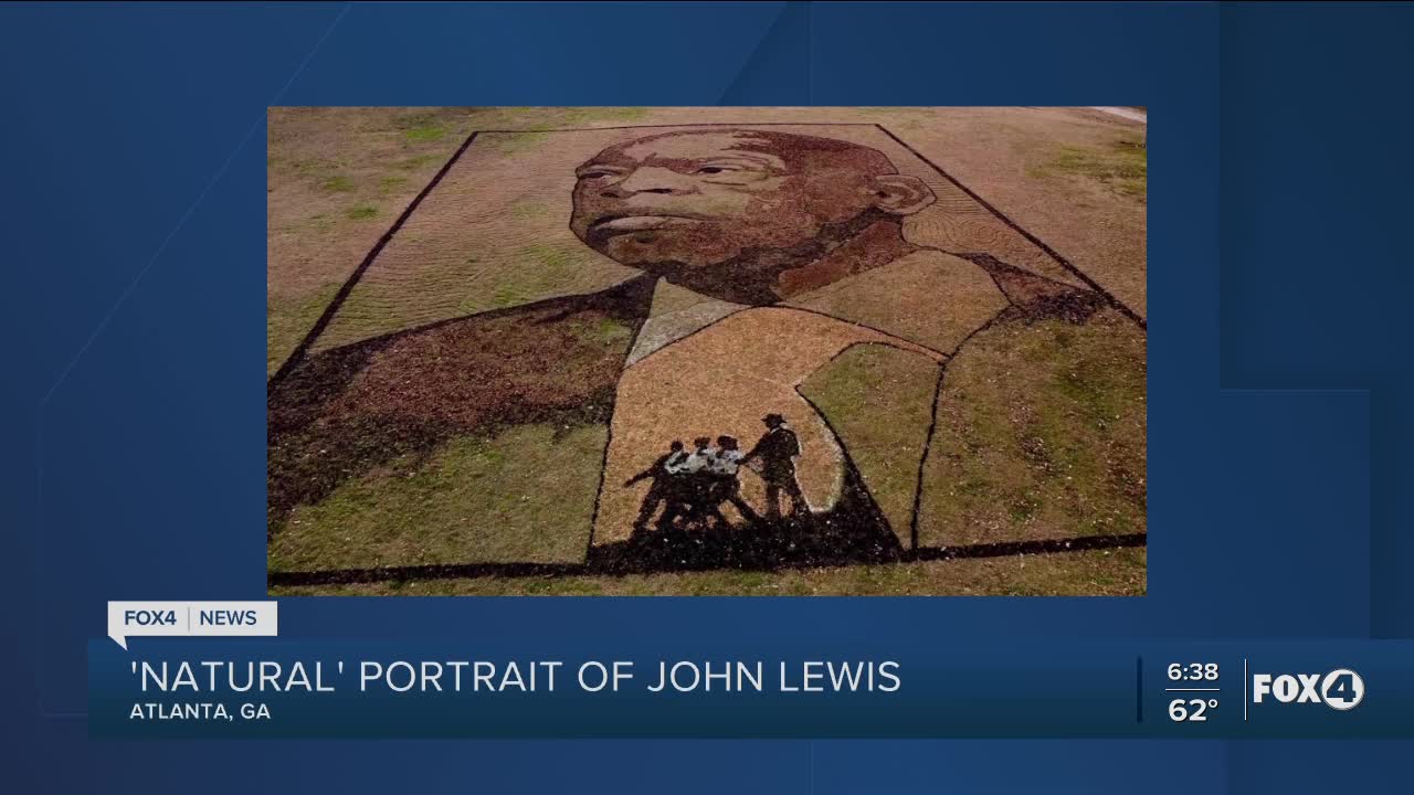 A "natural" portrait of John Lewis