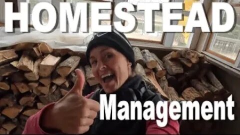 A lesson in Management. Bees Firewood duties