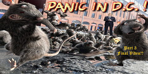 Finally the Seth Rich murderers are revealed