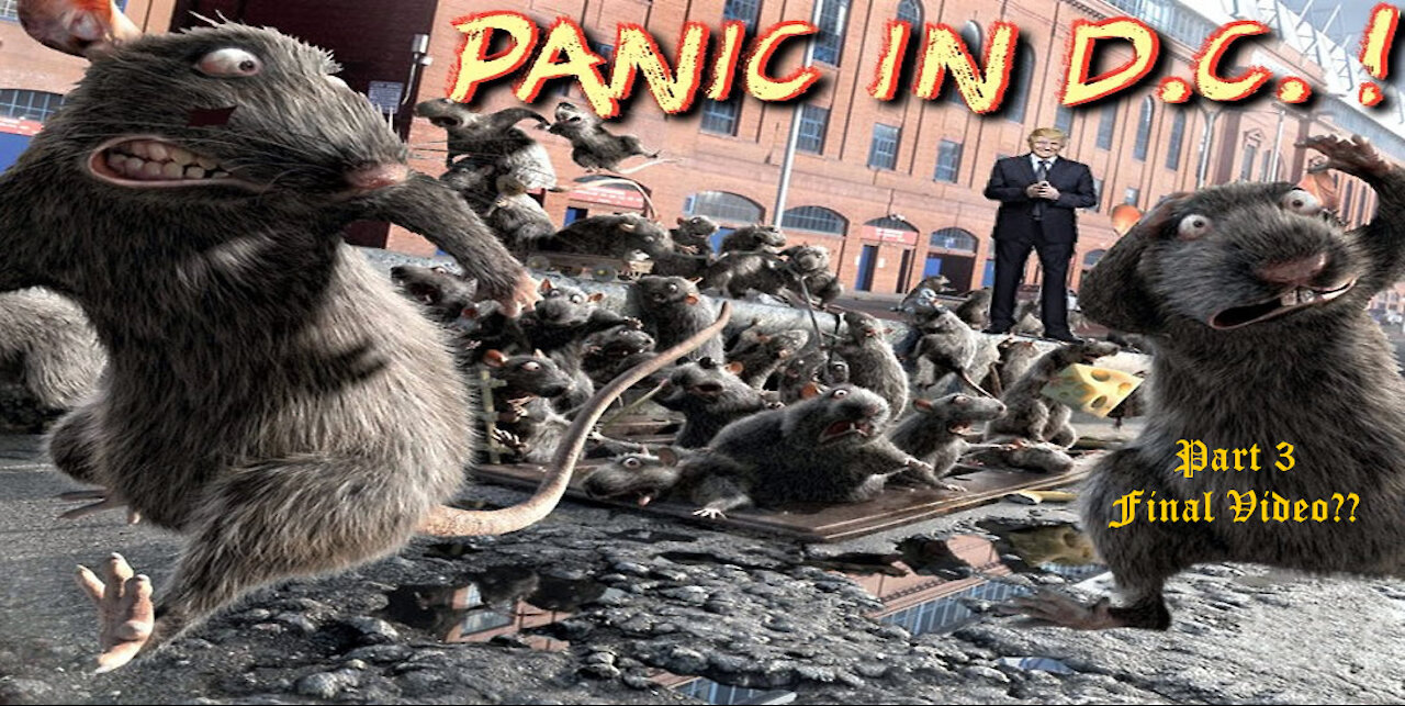 Finally the Seth Rich murderers are revealed