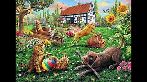 FUNNY CATS AND DOGS #1