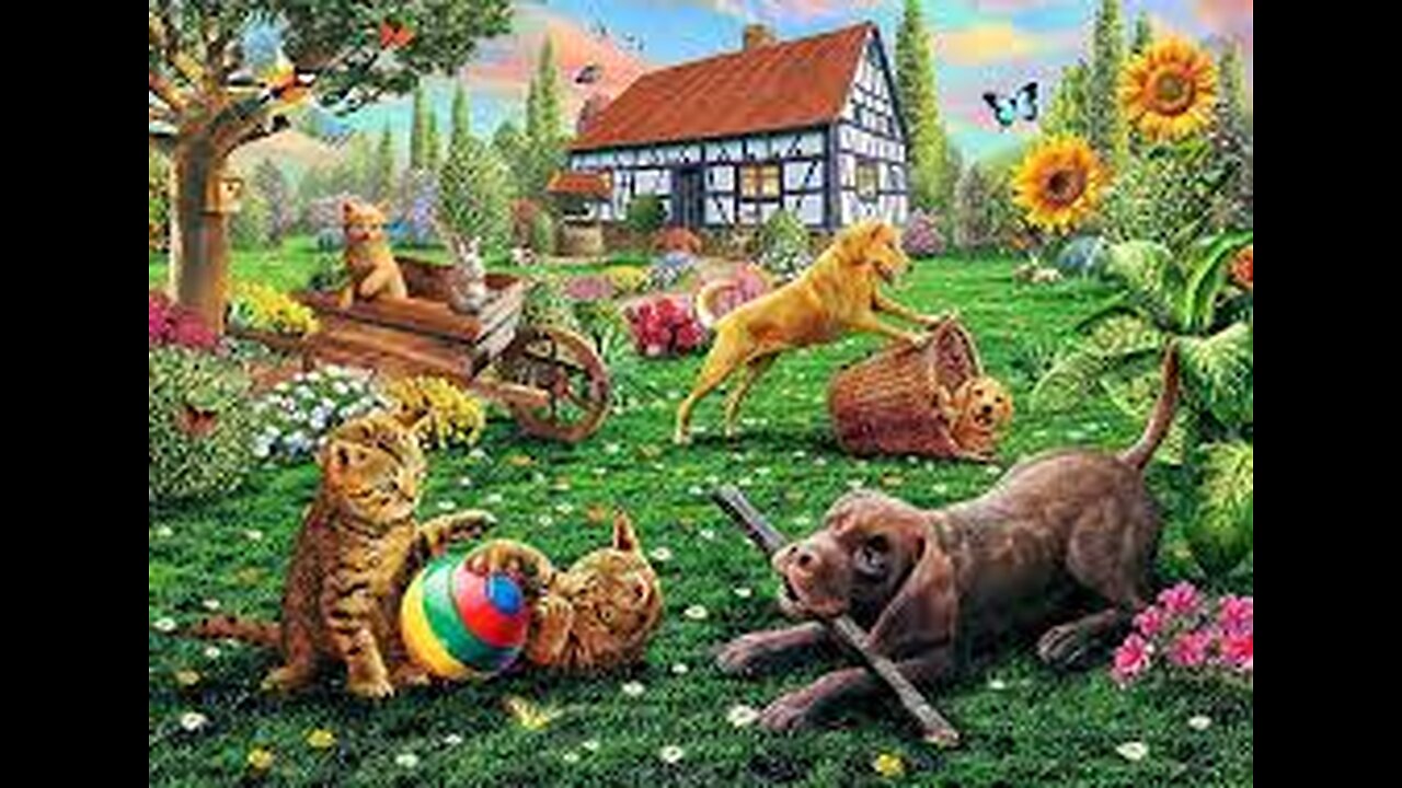 FUNNY CATS AND DOGS #1