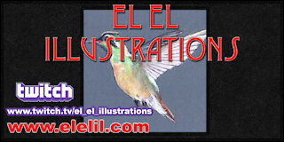Drawing a Hummingbird in Pastel