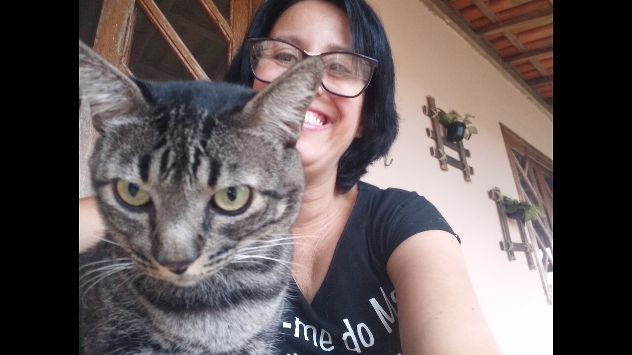 O Paçoca gordinho mais gostoso do mundo ganhou uma cama na árvore