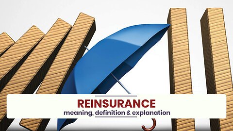 What is REINSURANCE?