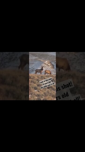 Look at this shot! 14 yr. old #elk #elkhunting #kidshunting #wyoming #success #shortsvideo #killshot