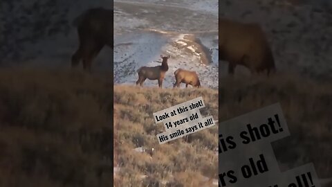 Look at this shot! 14 yr. old #elk #elkhunting #kidshunting #wyoming #success #shortsvideo #killshot