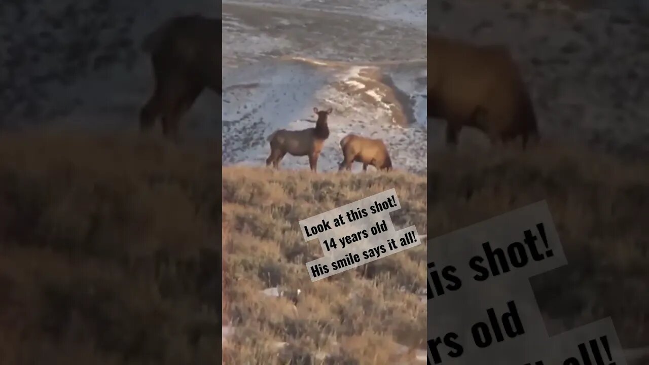 Look at this shot! 14 yr. old #elk #elkhunting #kidshunting #wyoming #success #shortsvideo #killshot