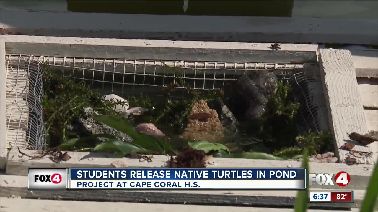 Cape High School students learn sustainable landscape principles and water quality testing