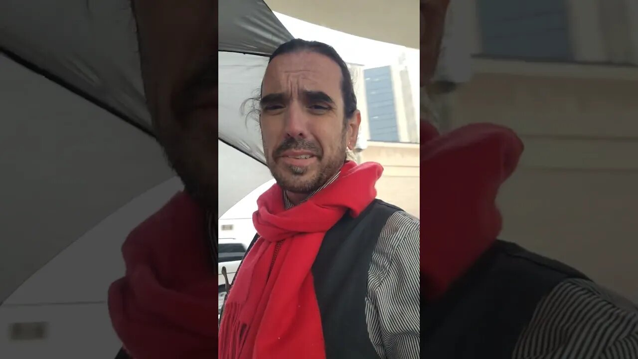 Umbrella In The Snow