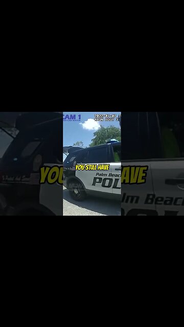 Arrested with Fake Licenses and Groovy Greens A Conversation You Won't Believe