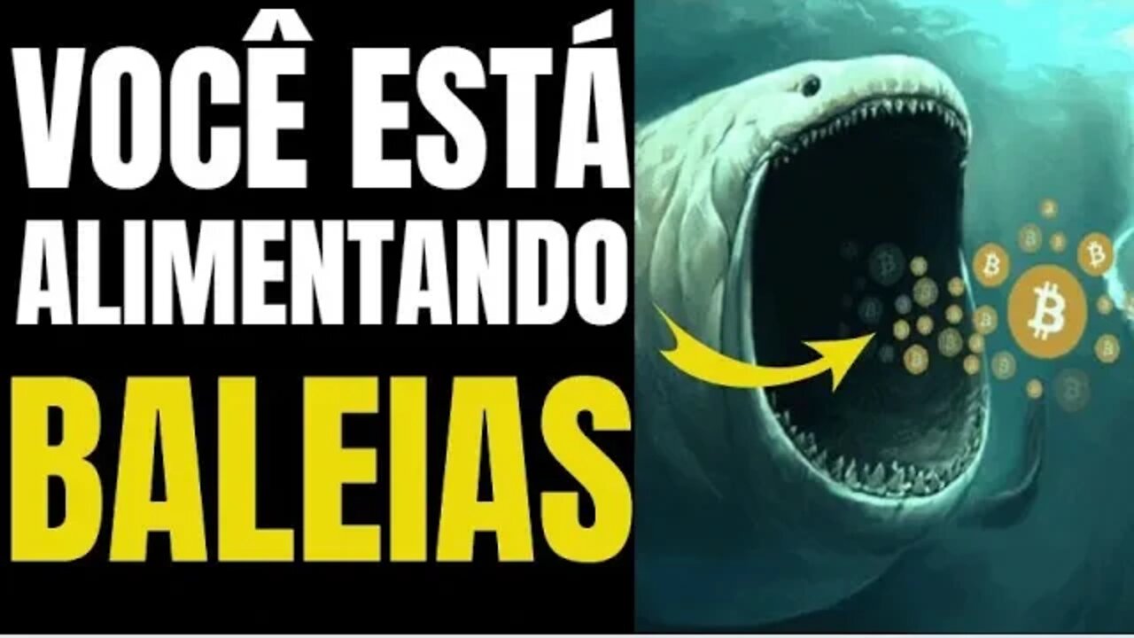 ESTES SÃO OS PLAYERS QUE ESTÃO SEGURANDO O MERCADO DE CRIPTOMOEDAS