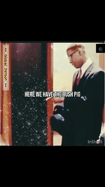 Why is pork forbidden in Islam?